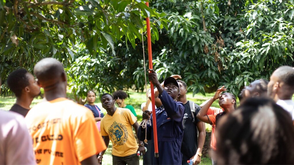Teilnehmende der Ghana Food Movement bei einem Bildungsprojekt im Grünen